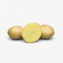 Potato
 Color-White